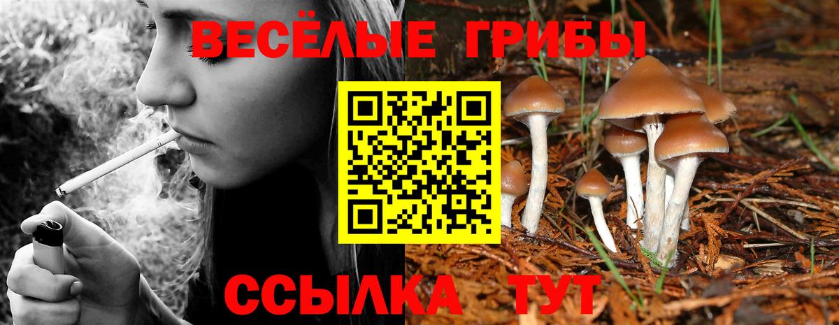 Галлюциногенные грибы Psilocybine cubensis  Вход с VPN  Полевской 